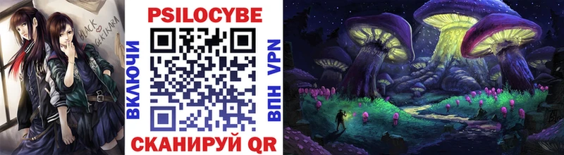 Псилоцибиновые грибы Magic Shrooms  где купить наркоту  Западная Двина 